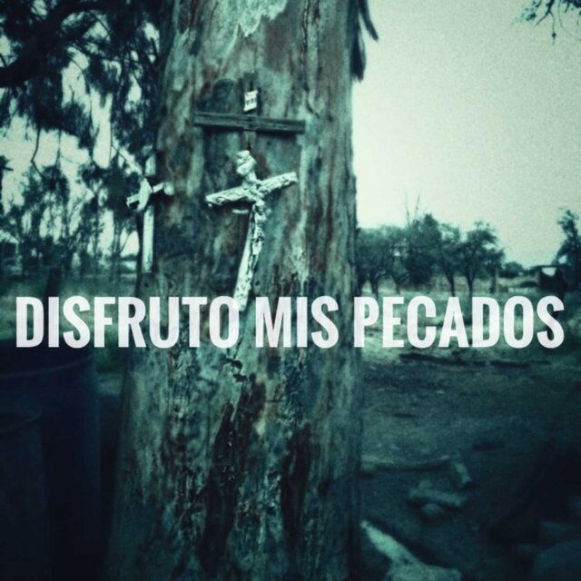Disfruto Mis Pecados