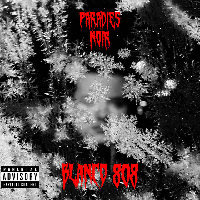 Paradies Noir