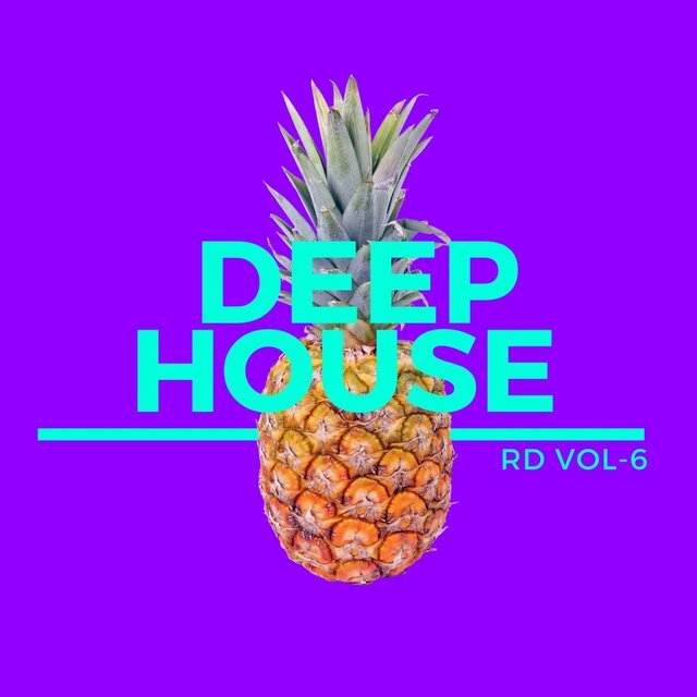 DEEP HOUSE RD VOL (6)