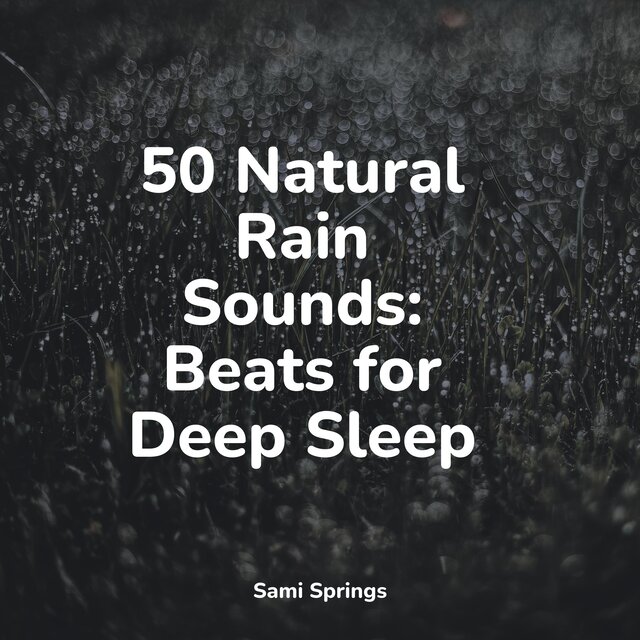 50 Natural Rain Sounds: Beats for Deep Sleep