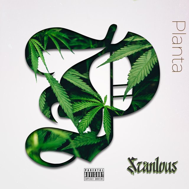 Planta (feat. iQlover & ElReghosg)
