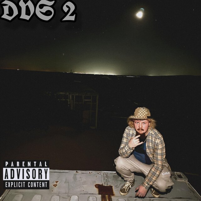 DVS 2