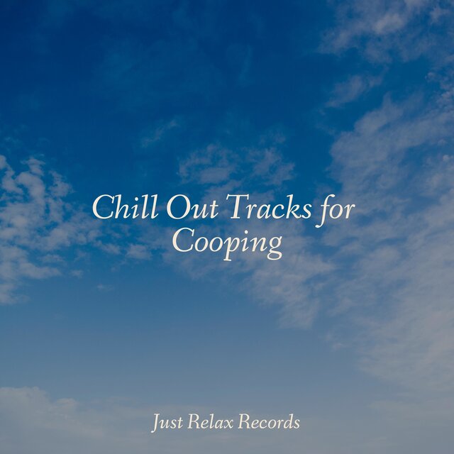 Chill Out Tracks for Cooping