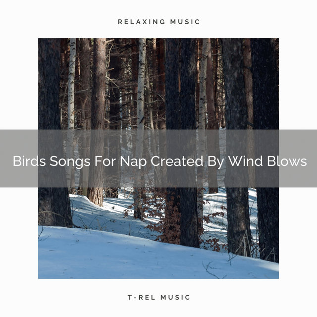 Birds Songs For Nap Created By Wind Blows