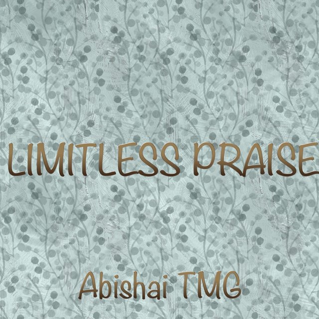 Limitless Praise