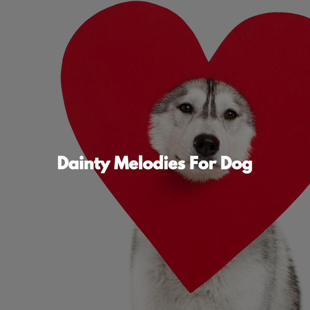 Dainty Melodies For Dog