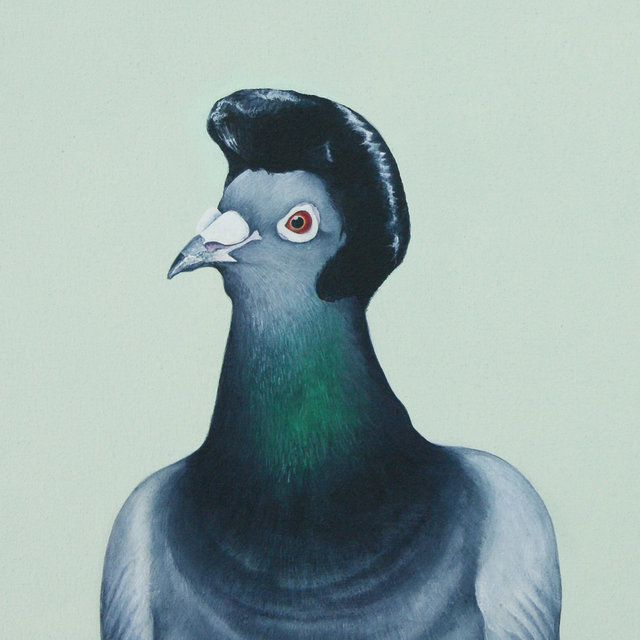 1/2 dove - 1/2 pigeon