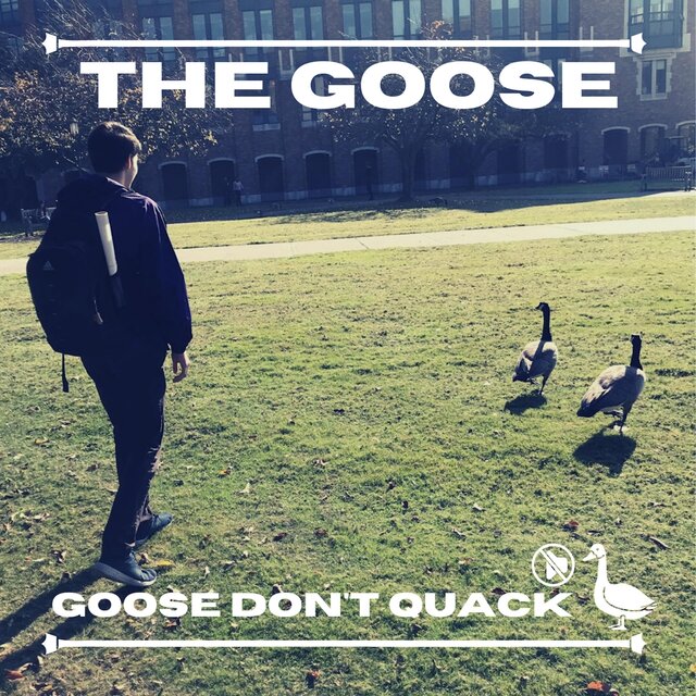 GOOSE DON'T QUACK