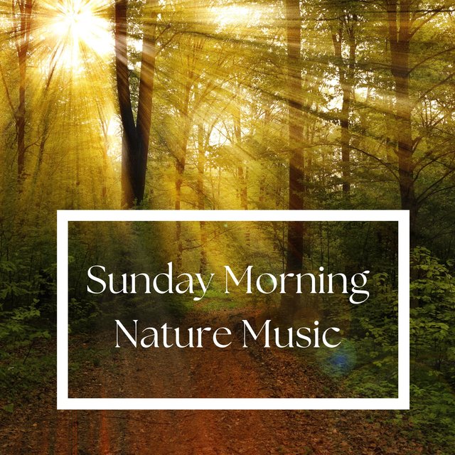 Sunday Morning Nature Music