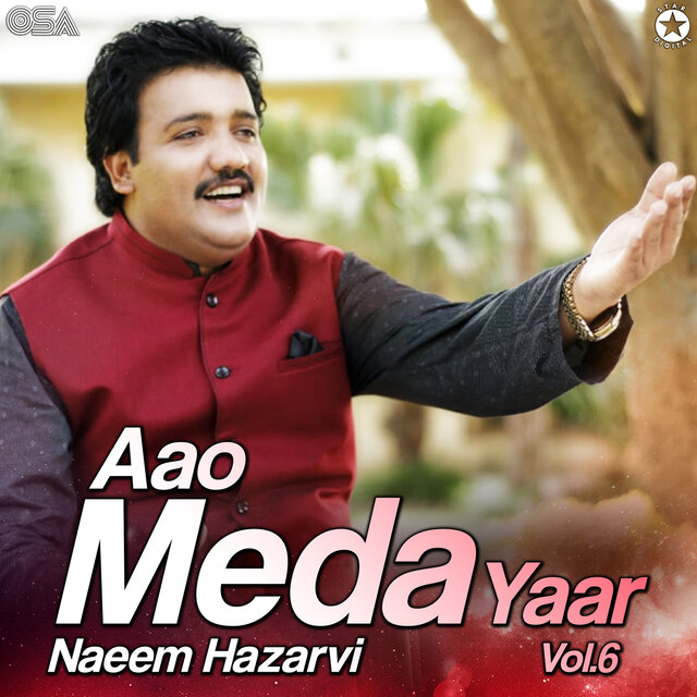 Aao Meda Yaar, Vol. 6