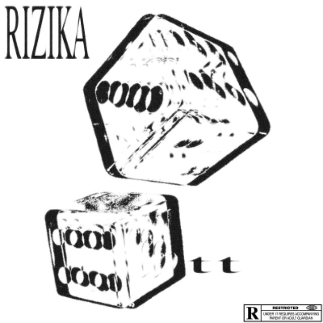 Rizika