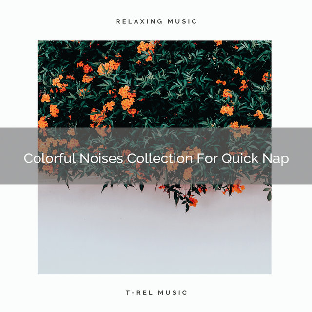 Colorful Noises Collection For Quick Nap