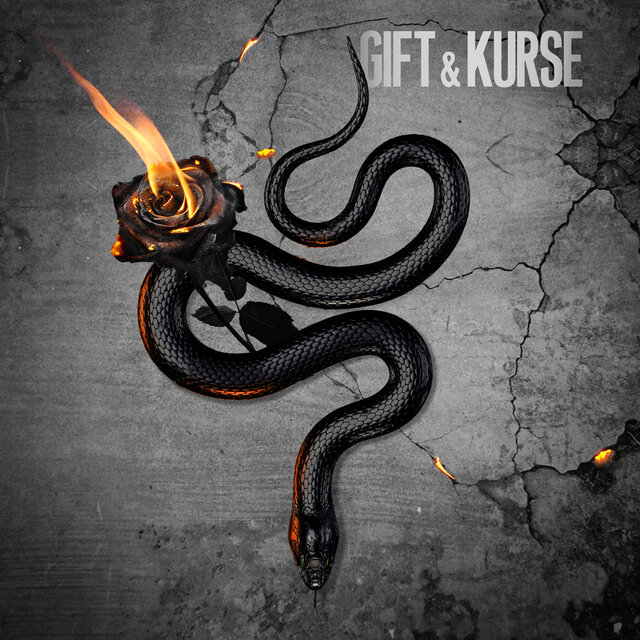 Gift & Kurse