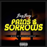 Pains And Sorrows