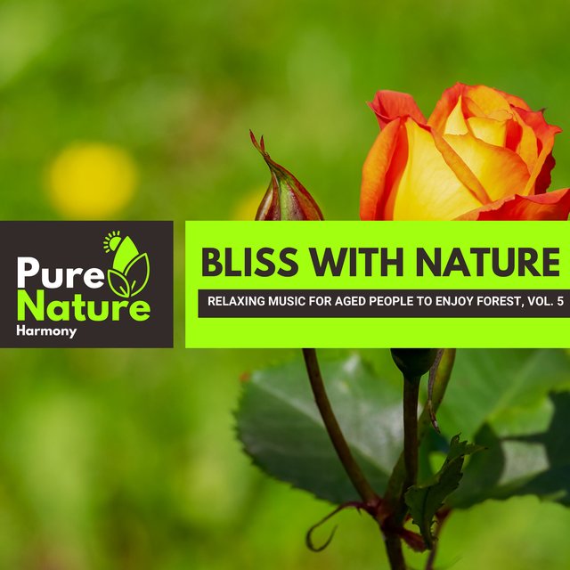 Bliss with Nature - Relaxing Music for Aged People to Enjoy Forest, Vol. 5