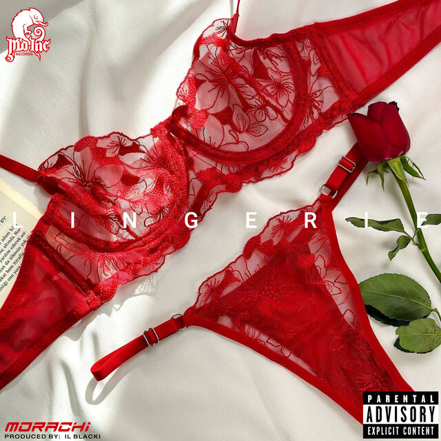 Lingerie
