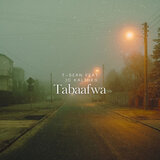 Tabaafwa