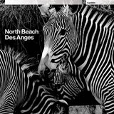 Des Anges