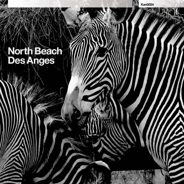 Des Anges