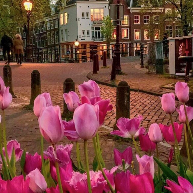 Flower Market