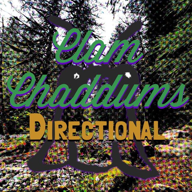 Directional