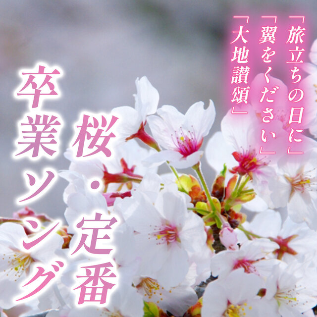 Cherry blossoms, classic graduation songs 