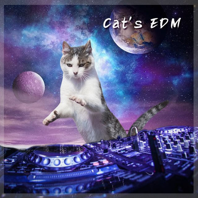 Cat's EDM