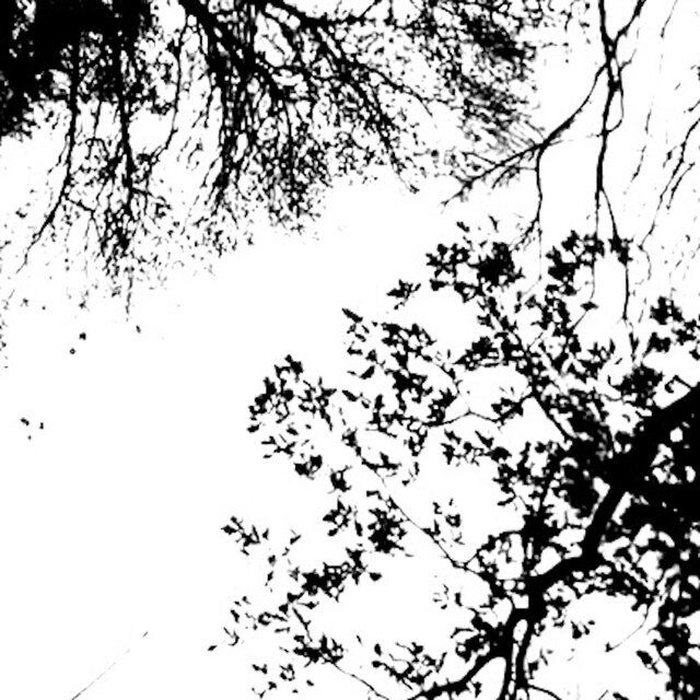 Simulacrum Dub