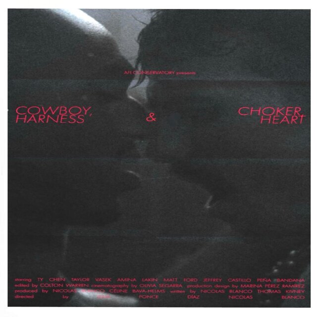 Cowboy, Choker, Harness & Heart Official Soundtrack