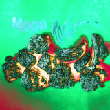 Moon Rock