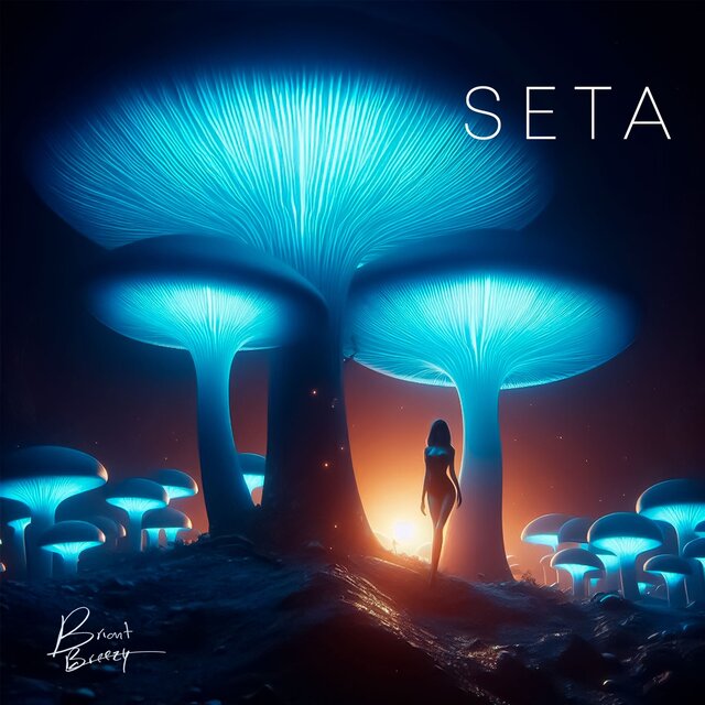 Seta