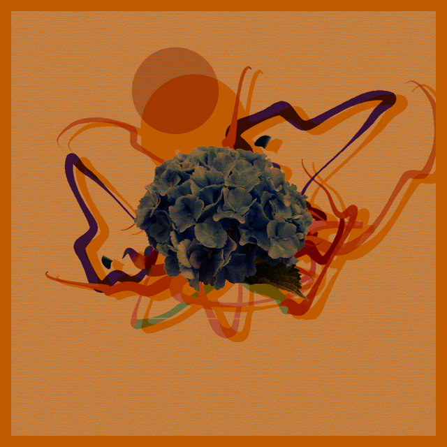 Coma 14