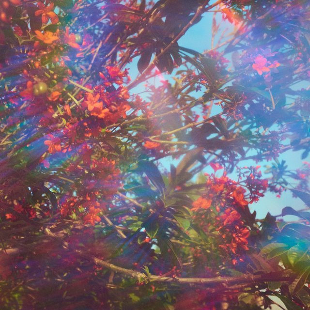 Rainbow Rituals