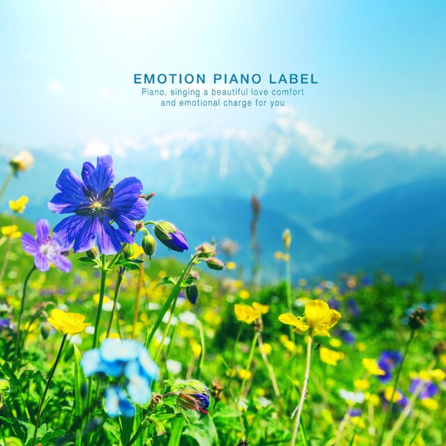 Peaceful New Age piano hearing at work