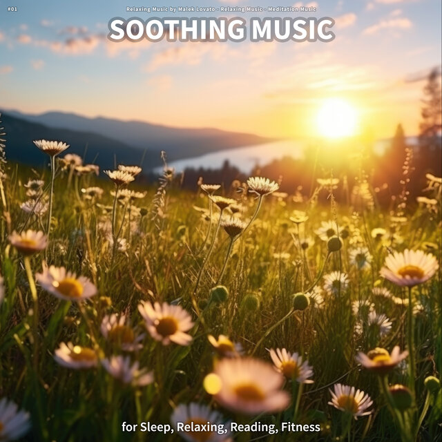 #01 Soothing Music for Sleep, Relaxing, Reading, Fitness