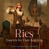 Flute Quartet No. 1 in D Minor, WoO 35: II. Adagio con Moto