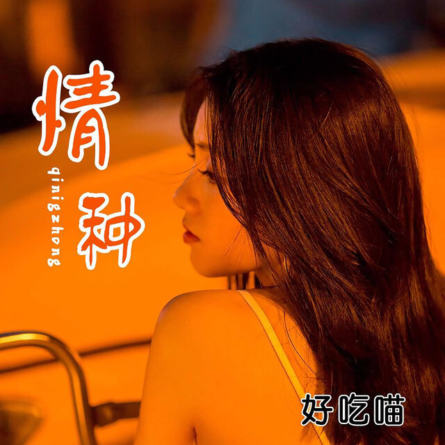 情种