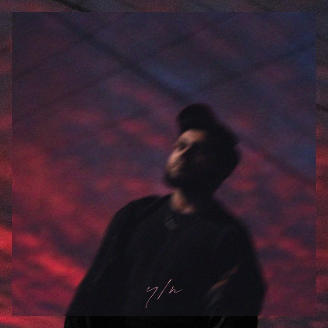 y/n