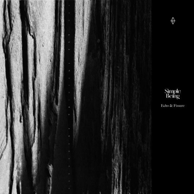 Echo & Fissure