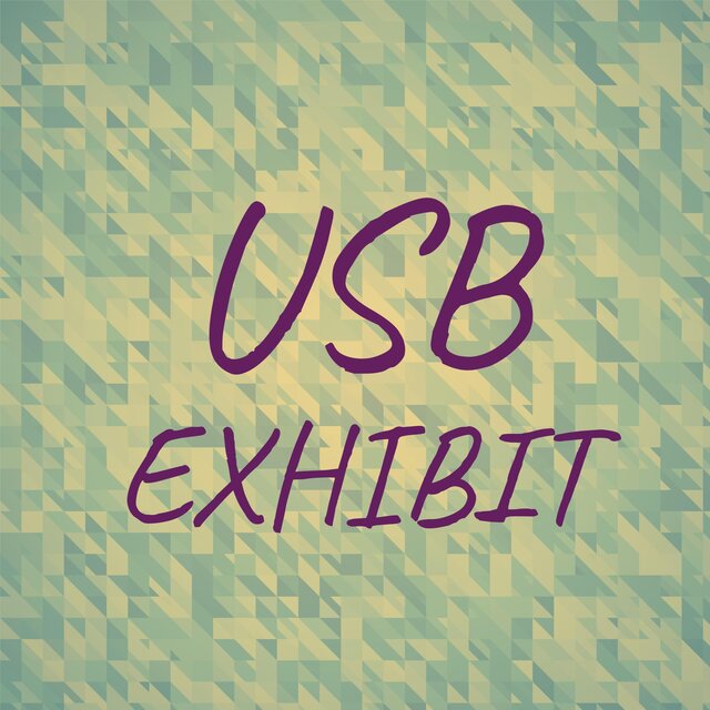 Usb Exhibit