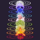 528 Hz Love Vibration