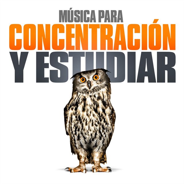 Música para concentración y estudiar