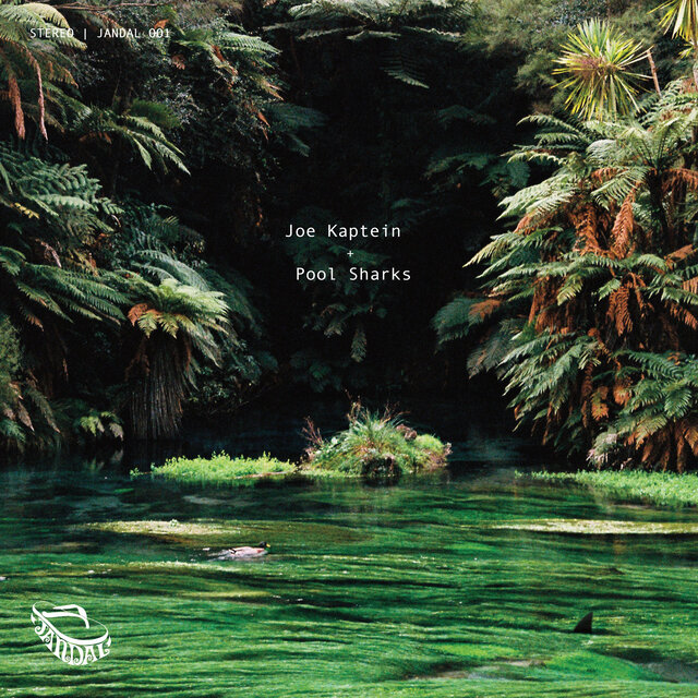 Cover art for album  by Joe Kaptein