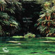 Cover art for album Pool Sharks by Joe Kaptein