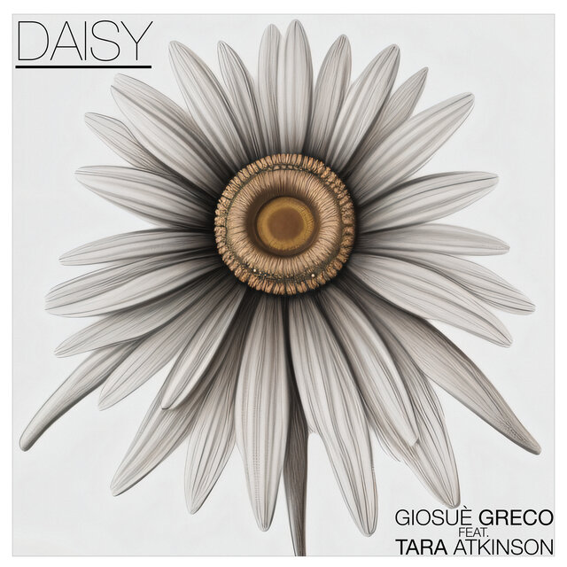 Daisy