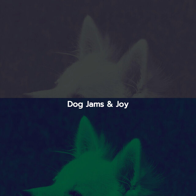 Dog Jams & Joy
