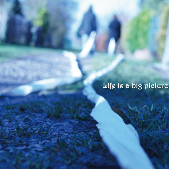 Life is a big picture