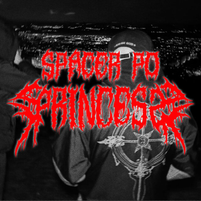 SPACER PO PRINCESS