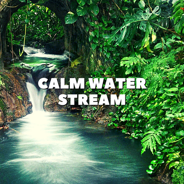 Calm Water Stream