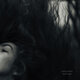 Cover art for album Idle Mind by Anna Mieke